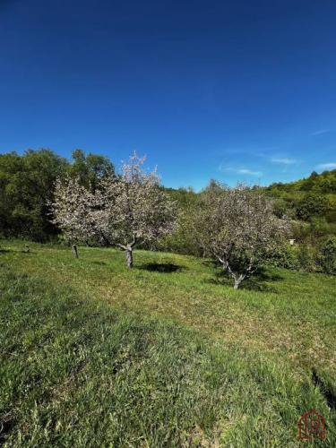 Reality KH-948, Záhrada, pozemok, Prešov, Kendice