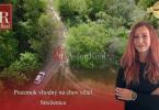 Reality Pozemok vhodný na chov včiel Streženice- 874m2
