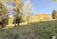 Reality RADO | Rekreačný stavebný pozemok 1272m2, Horná Mariková