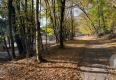 Reality Pozemok o rozlohe 1100 m2 v krásnej lokalite Borinka, okres Malacky