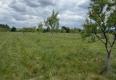 Reality Na predaj Ovocný sad s rozlohou 11.000m2 pri Modre-Vištuk