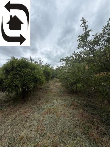 Reality Stavebný pozemok v Jarovciach na predaj