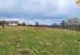 Reality Rekreačný pozemok 2.750 m2, šírka 21 m, Jabloňovce (SM - 888)