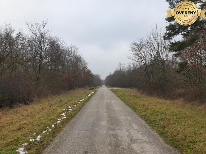 Reality Hľadáte les a lúku v okrese Pezinok? Budmerice