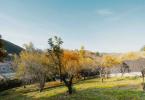 Reality Predaj Pozemok 1160 m², Košice – Sever, svahovitý, ÚPI, všetky IS