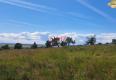 Reality Rekreačný pozemok 2.750 m2, šírka 21 m, Jabloňovce (SM - 901)
