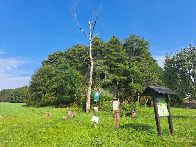 Reality Stavebný na rodinný dom, Pavčina Lehota