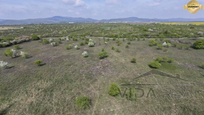 Reality Pozemok v Modre s výmerou až 58.977 m2