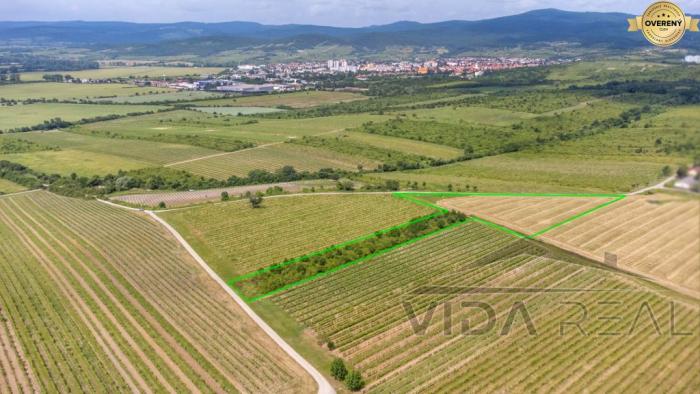 Reality Na predaj zaujímavý pozemok v Modre s výmerou 6419 m2