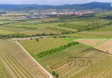 Reality Na predaj zaujímavý pozemok v Modre s výmerou 6419 m2