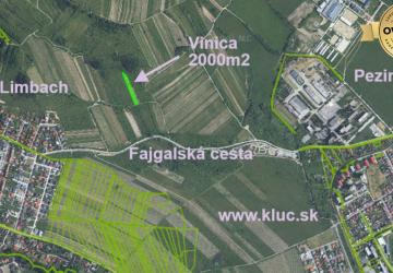 Reality Oplotený obrábaný vinohrad so studňou.Fajgalská cesta